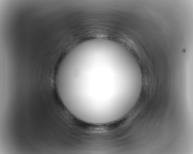 X0000089690553200706210836