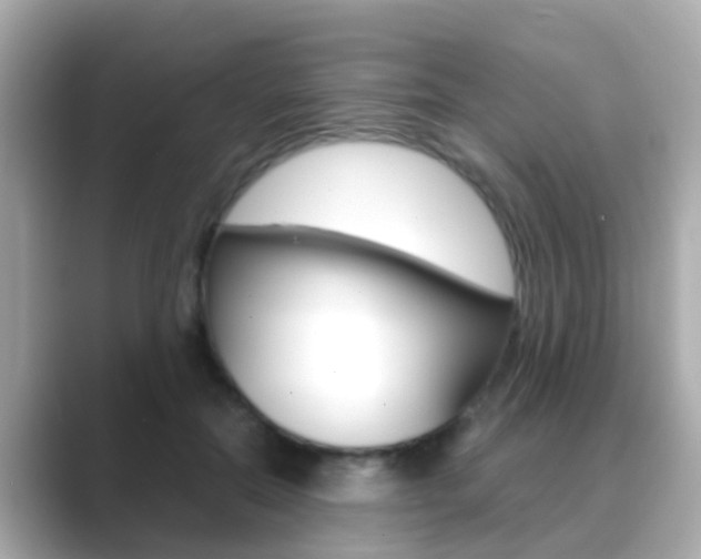 X0000089690554200706210836