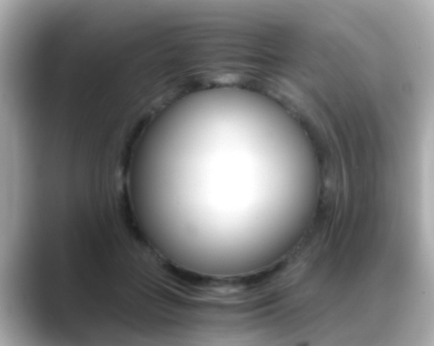 X0000089690555200706210836