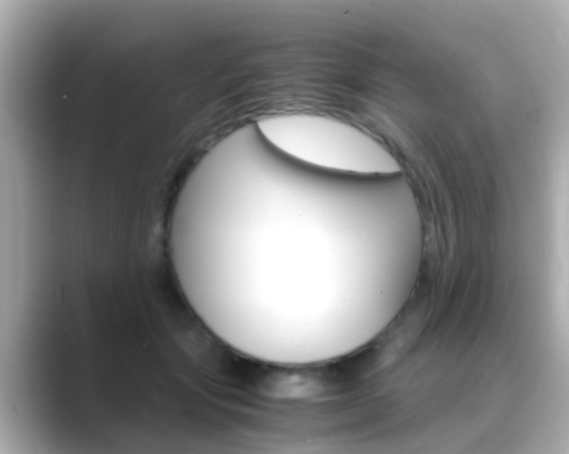 X0000089690557200706210836