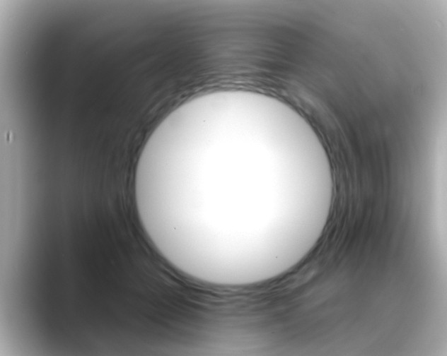 X0000089690558200706210836