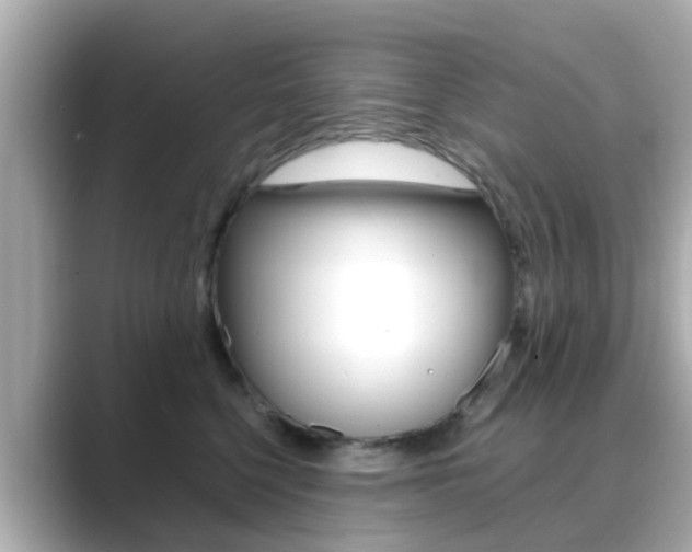 X0000089690568200706210836