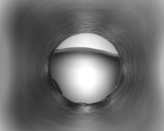 X0000089690570200706210836