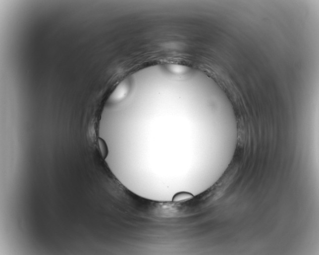X0000089690573200706210836