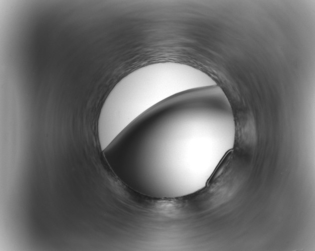 X0000089690574200706210836