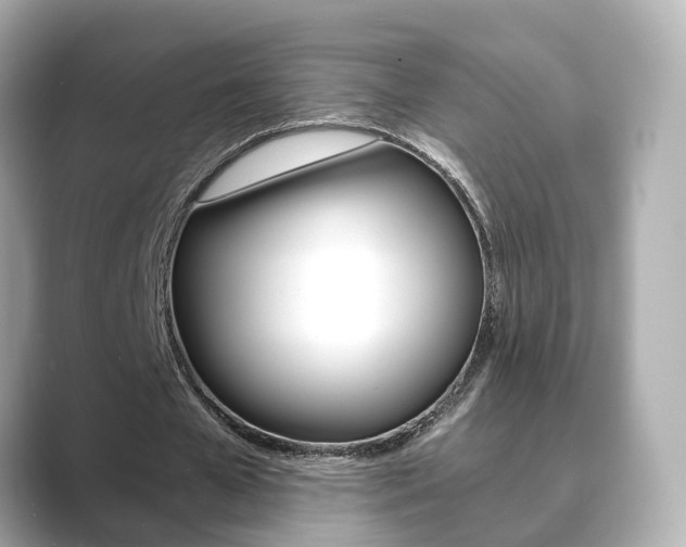 X0000089690577200706210836