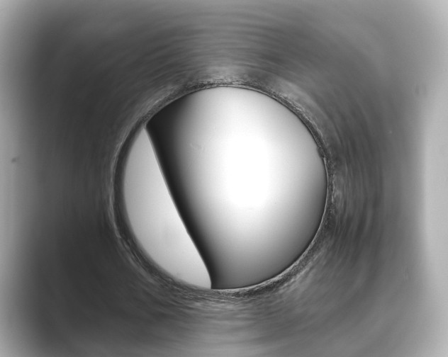 X0000089690578200706210836