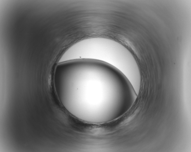 X0000089690589200706210836