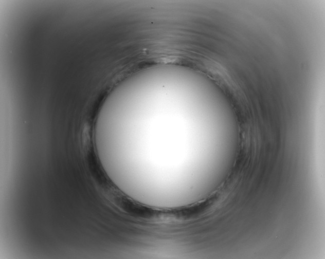 X0000089690598200706210835