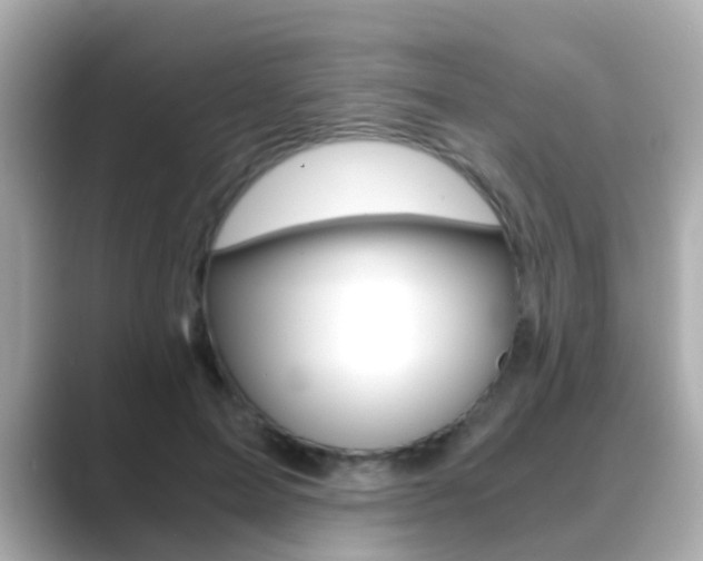 X0000089690599200706210835