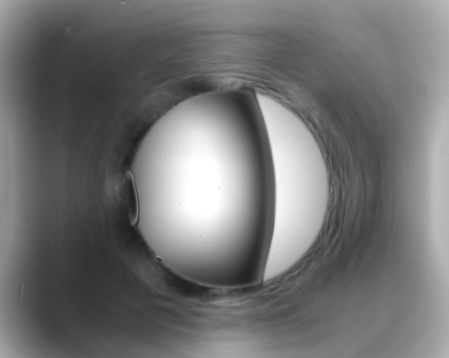 X0000089690601200706210835