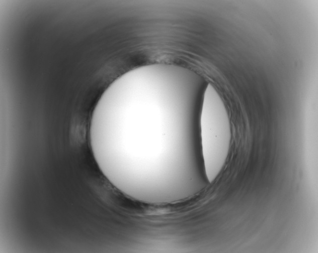 X0000089690602200706210835