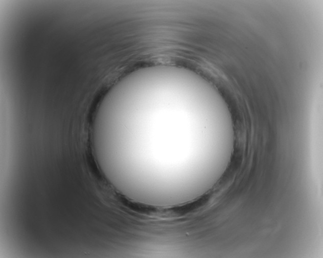 X0000089690603200706210835