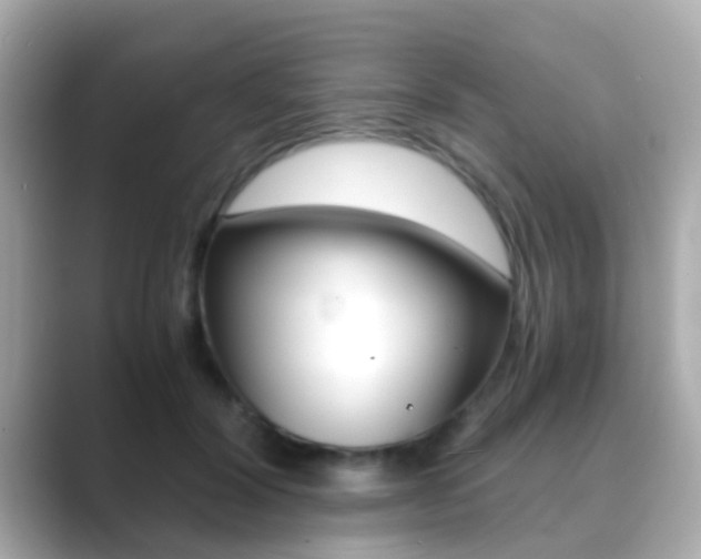 X0000089690604200706210835