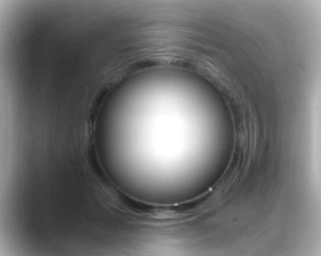 X0000089690605200706210835