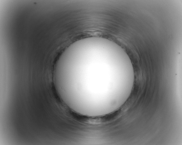 X0000089690606200706210835