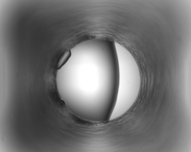 X0000089690609200706210835