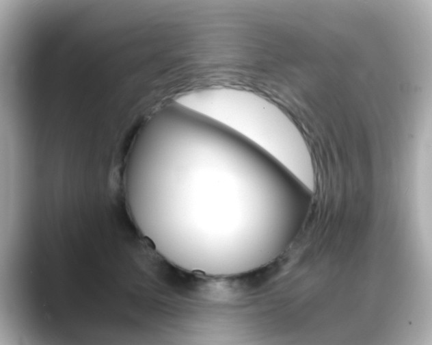 X0000089690611200706210835