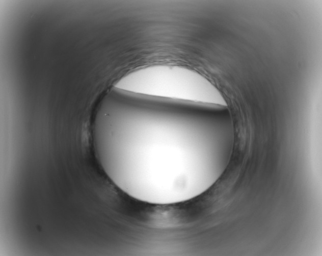 X0000089690612200706210835