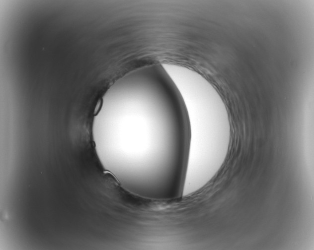 X0000089690613200706210835