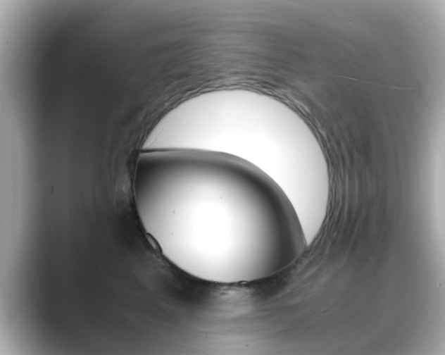 X0000089690617200706210835