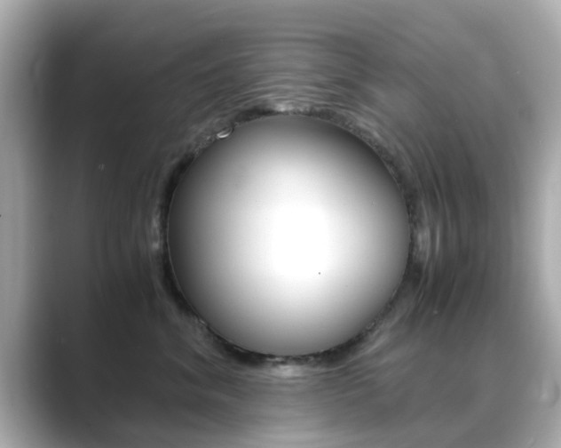 X0000089690620200706210835