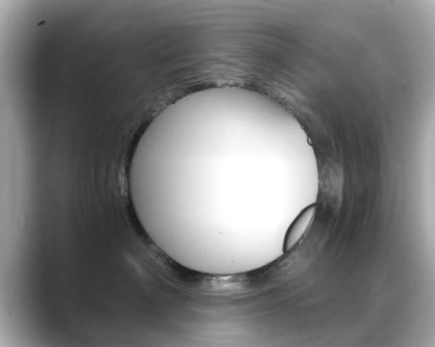 X0000089690622200706210835
