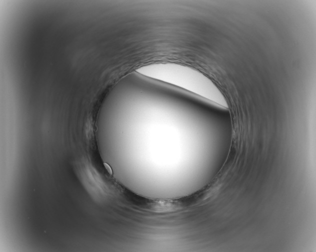 X0000089690623200706210835