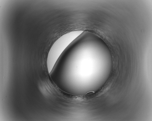 X0000089690624200706210835