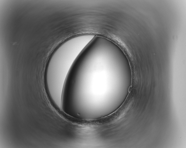 X0000089690625200706210834