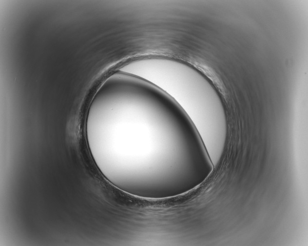 X0000089690628200706210835