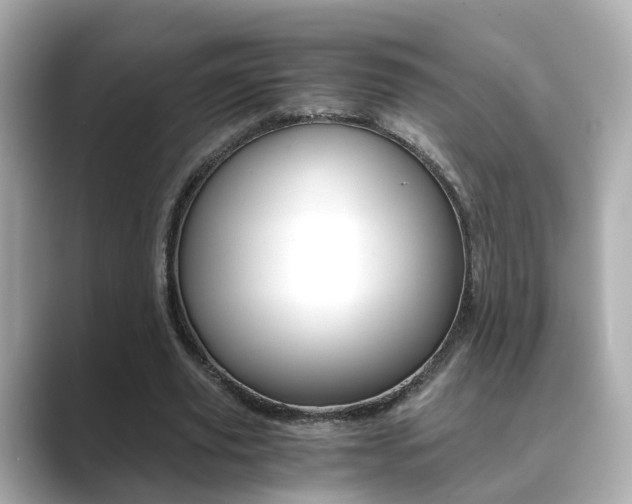 X0000089690629200706210835