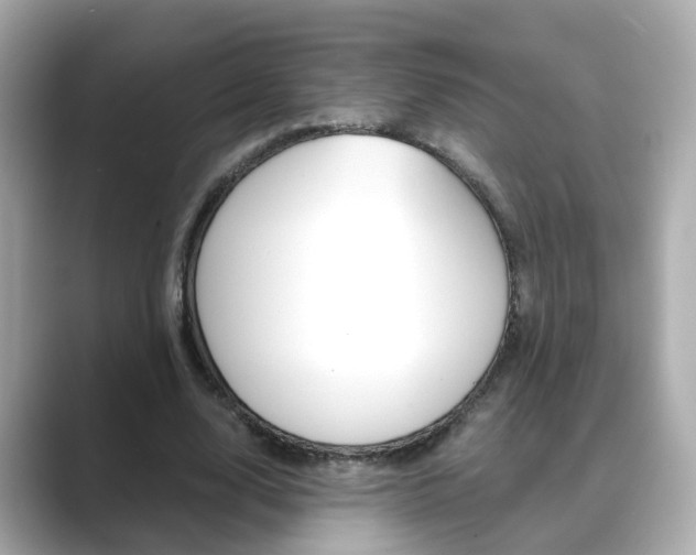 X0000089690632200706210835