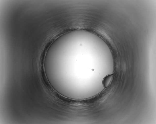X0000089690635200706210835