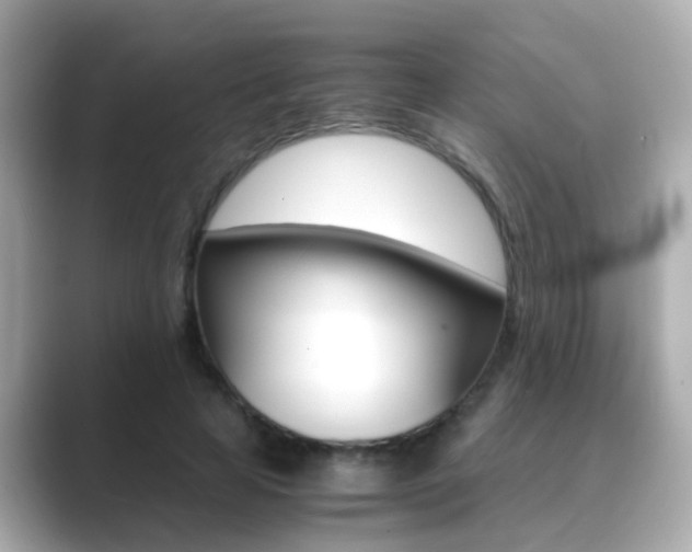 X0000089690641200706210835