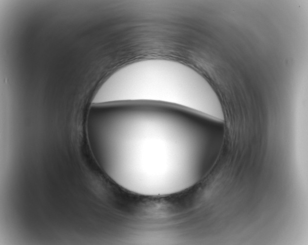 X0000089690642200706210835
