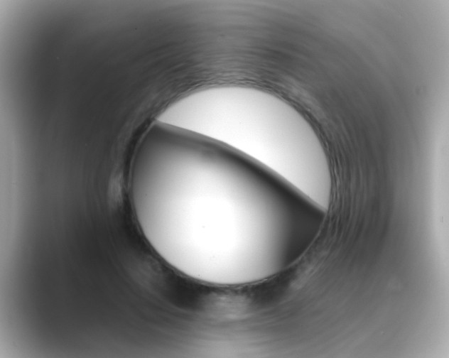 X0000089690644200706210835