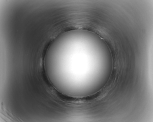 X0000089690646200706210835