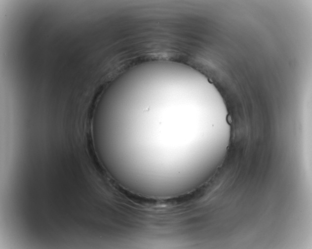 X0000089690647200706210835
