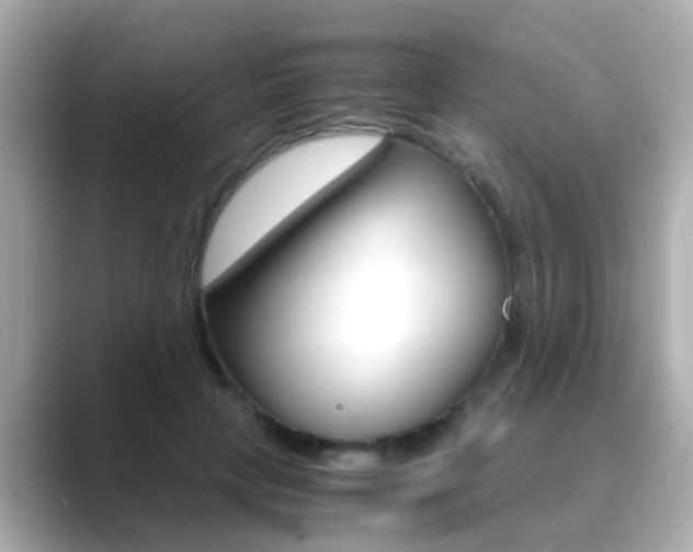 X0000089690649200706210835