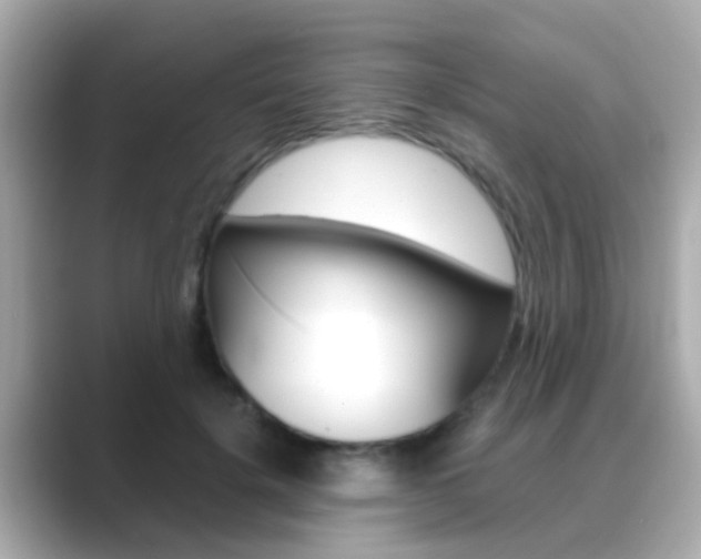 X0000089690652200706210835