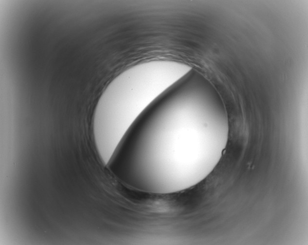 X0000089690655200706210835