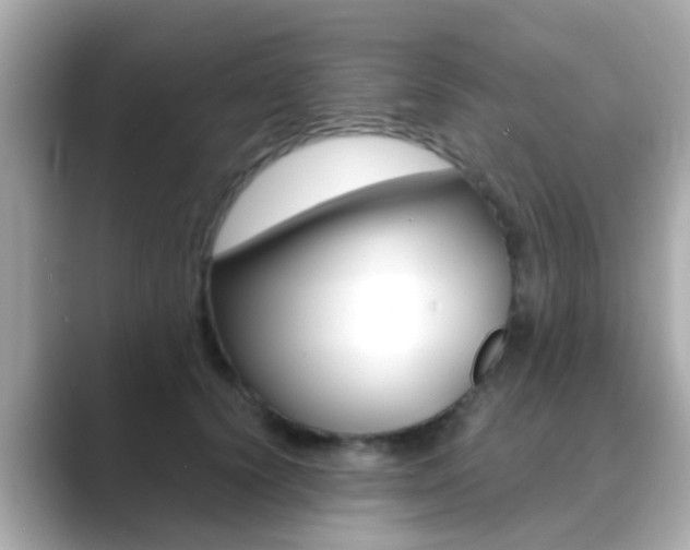 X0000089690656200706210835