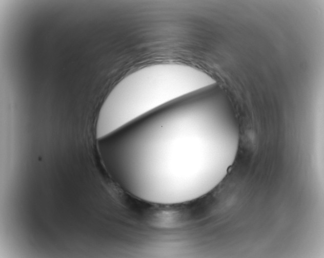X0000089690658200706210835