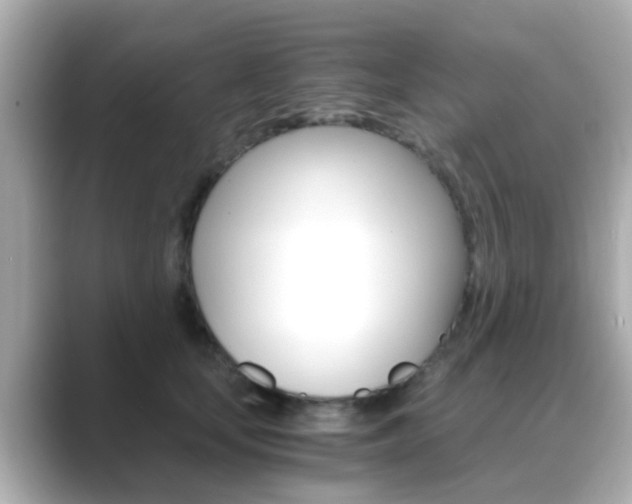 X0000089690659200706210835