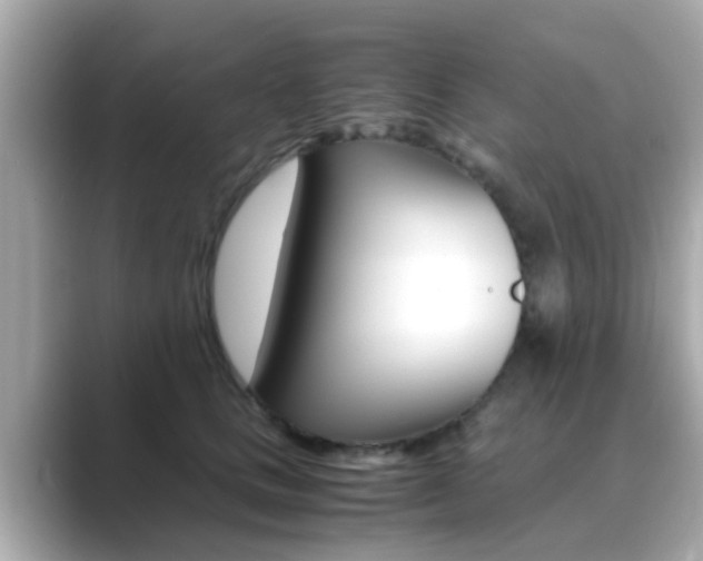X0000089690661200706210835