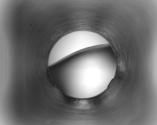 X0000089690665200706210835