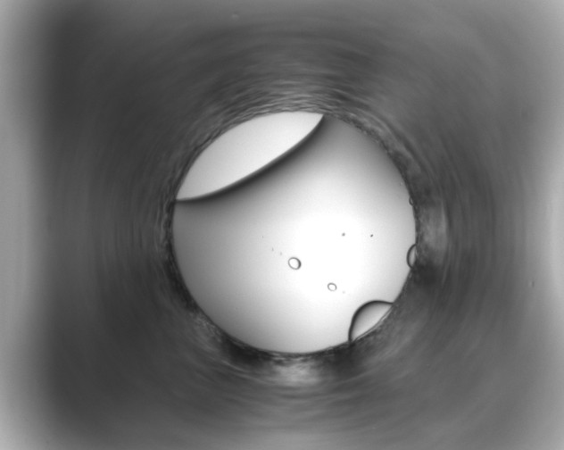 X0000089690667200706210835