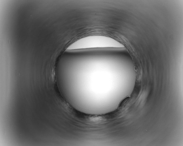 X0000089690669200706210835