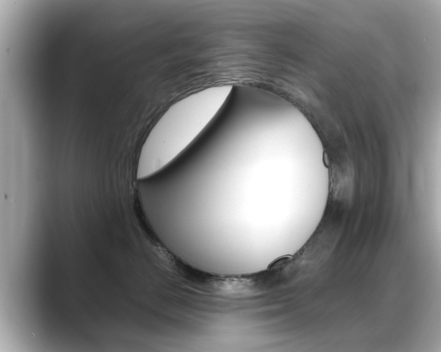 X0000089690670200706210835